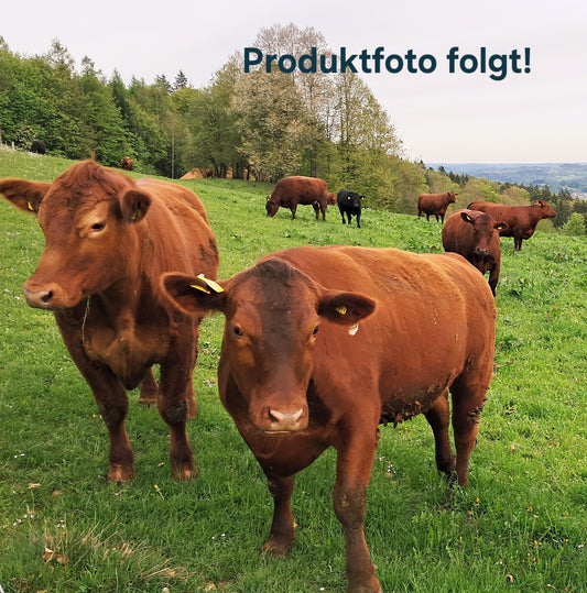 Bio Angus Hundefutter (gewolft, gefroren)